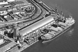 中國農(nóng)業(yè)走出去步伐加快 漸形成買全球賣全球格局